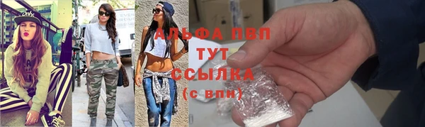 спиды Покачи