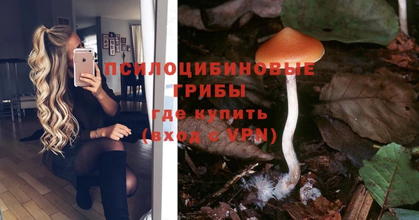 круглые Алзамай
