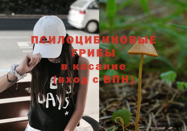 круглые Алзамай